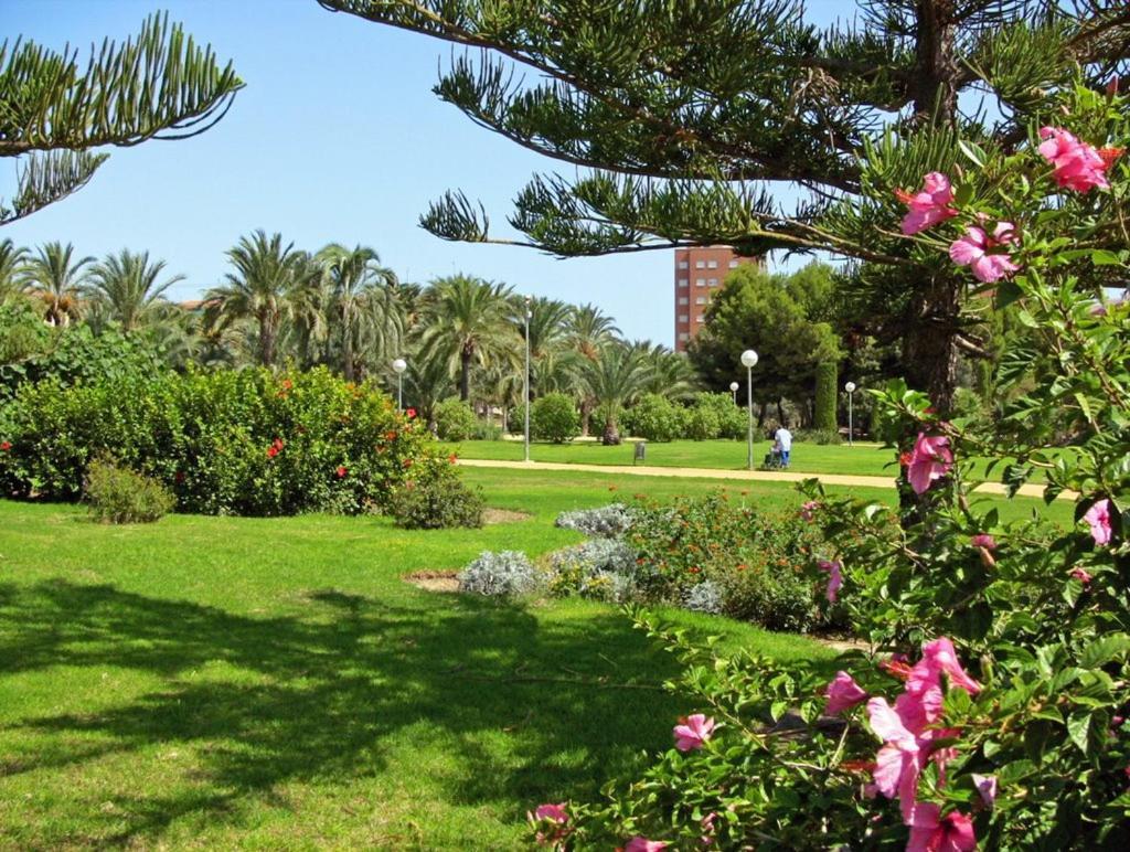 30-3- Бюджетная Комната В Квартире Для 2 Человека, Alicante Apartment Luaran gambar